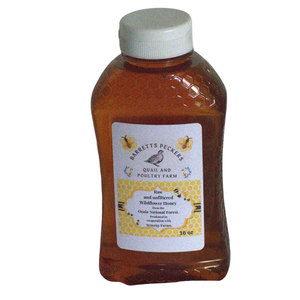 Miel de flores silvestres cruda y sin filtrar del Bosque Nacional de Ocala
