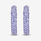 3.06 Carat Genuine Tanzanite .925 Sterling Silver Earrings
